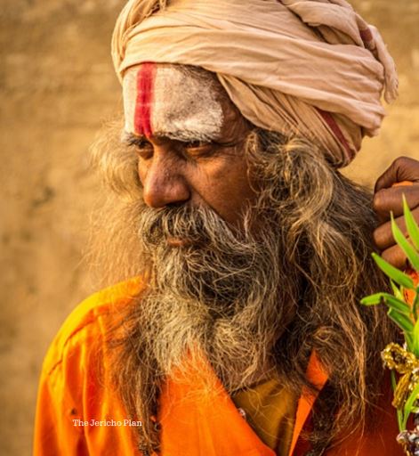 IPC Newsletter Dec 2024 04b