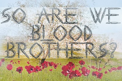 Bloedbroers: Bid vir Sy versoening in die land van Abraham