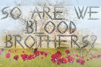 Bloedbroers: Bid vir Sy versoening in die land van Abraham