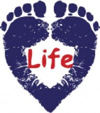 Terugslag vir Pro-Life Movement