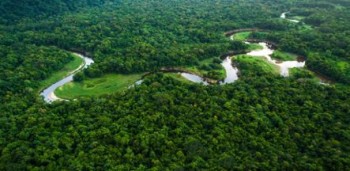 Amasone-reënwoud - Biskoppe vergader vir Rome Sinode